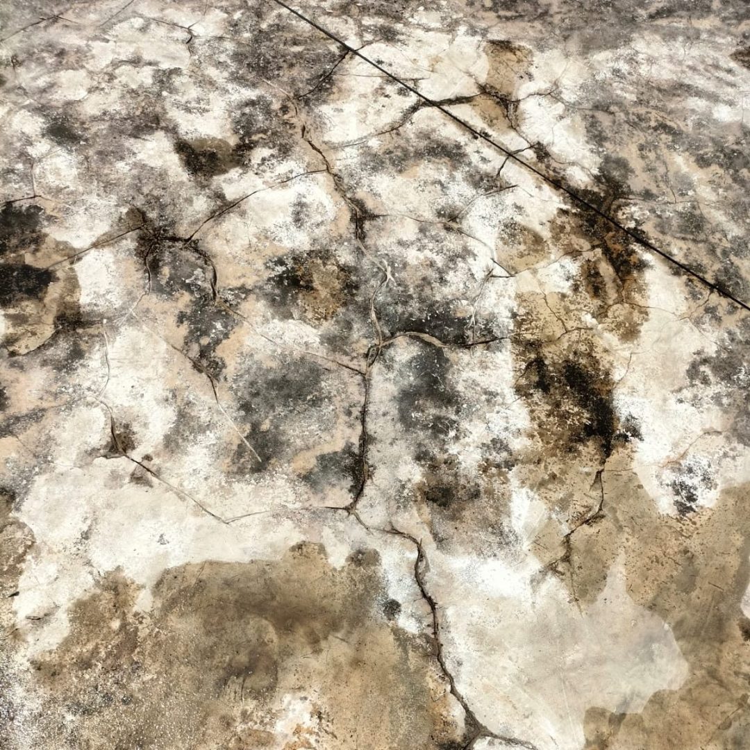 WhatsApp Image 2026-04-04 at 10.43.47 PM